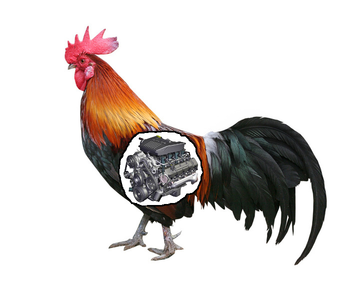 Rooster with V8 Engine